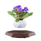 Levitating - Floating Flower Pot with Wood Base ©