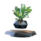 Levitating - Bonsai Planter Pot ©